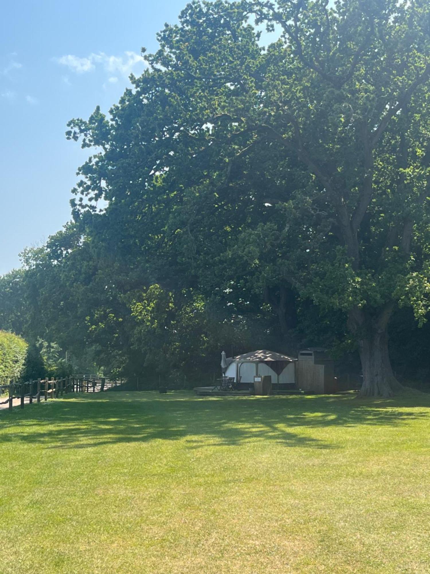 Hotel Old Dairy Farm Glamping Emsworth Zewnętrze zdjęcie
